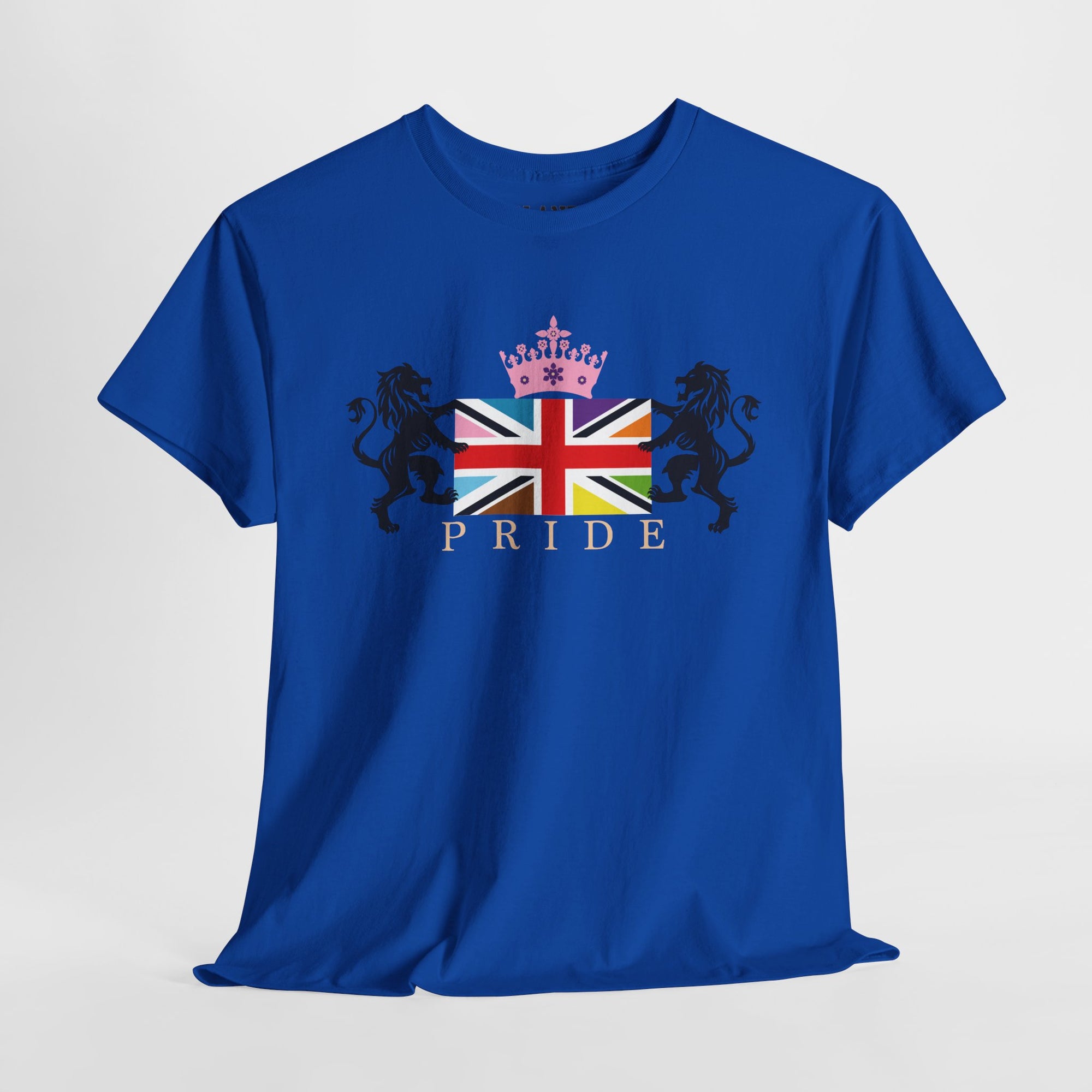 Pride Cotton Tee, LGBTQ+ Shirt, Pride Month, Summer Style