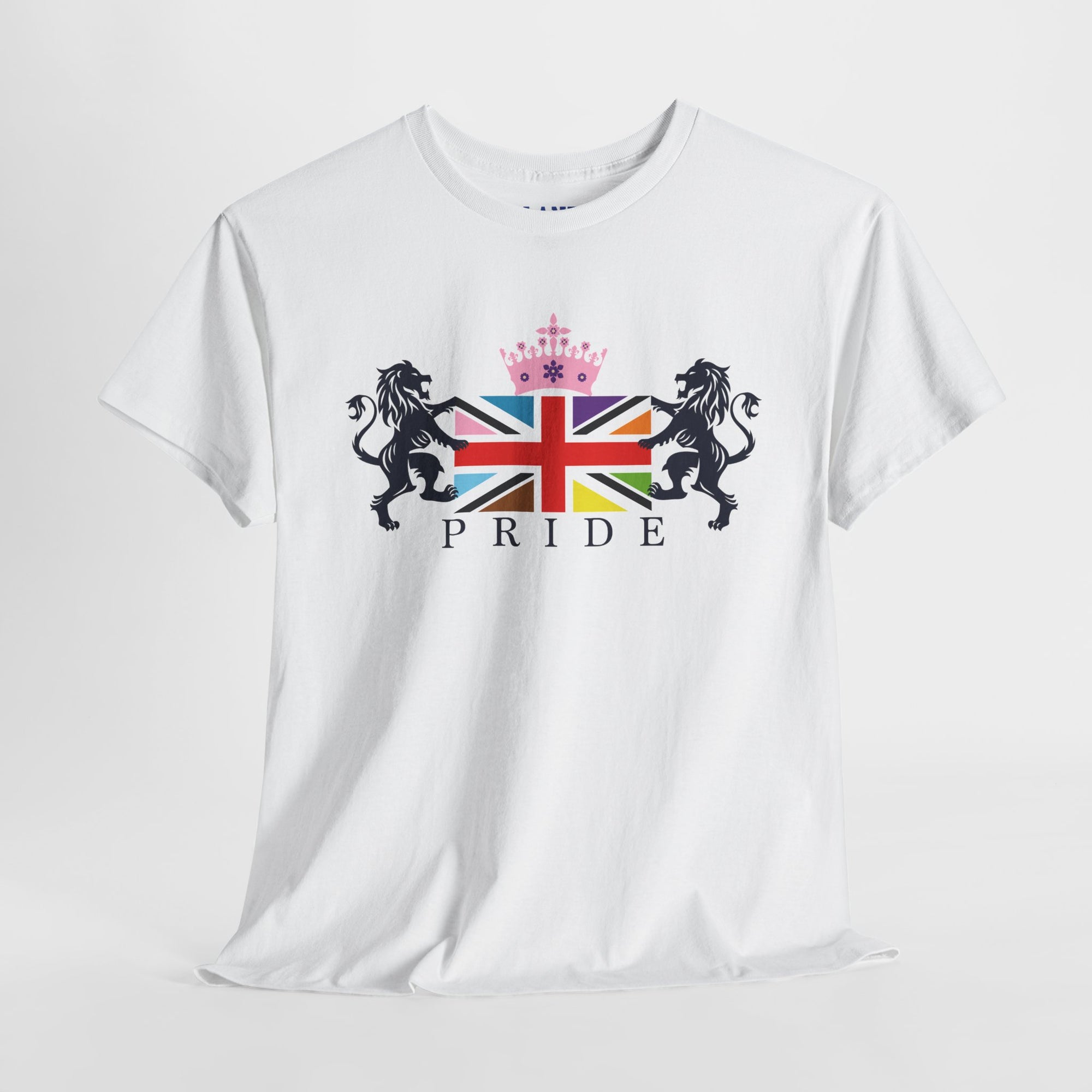 Pride Month T-Shirt, Unisex Graphic Tee, Comfortable Casual Wear, LGBTQ Pride Gift