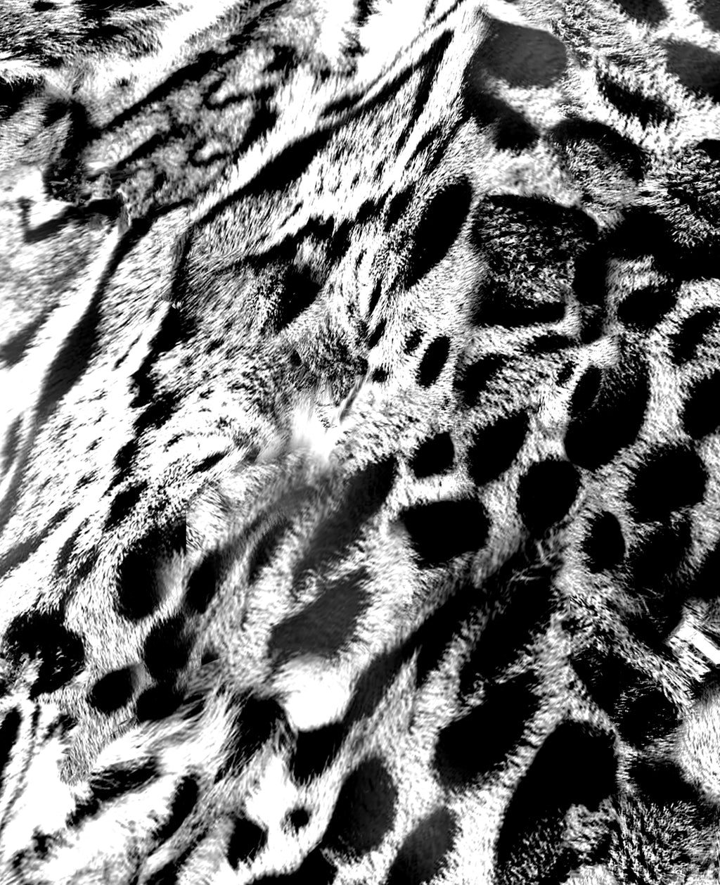 Skinz Mono Animal Print Joggers