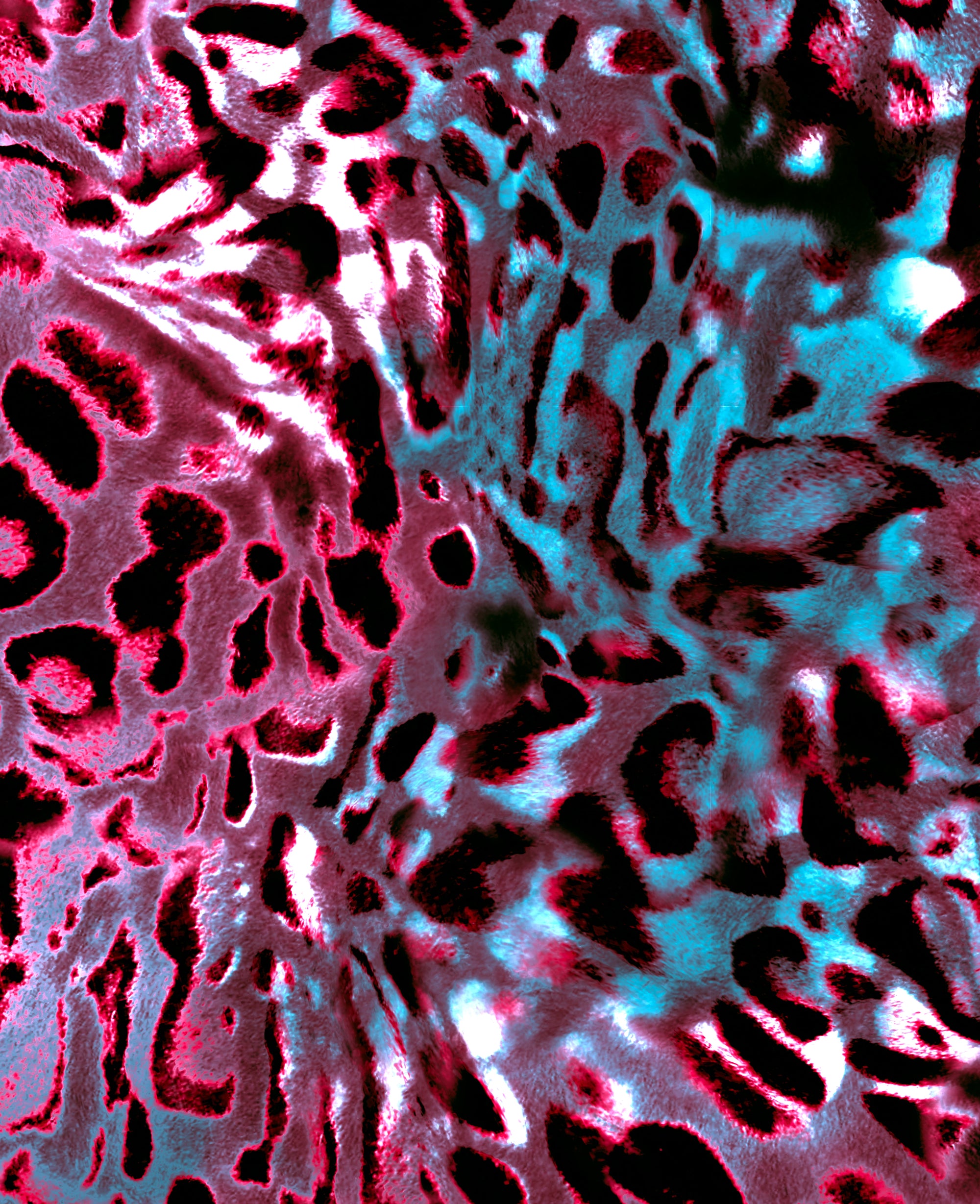 Jaguar Women's Zip Hoodie